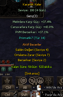 KAYKAYLI TİP 14 100 LVL BİNEK 500