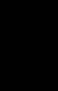 buffş amn