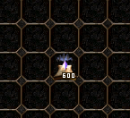 600 EFSUN + 20M YANG