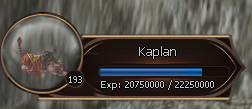 193 LVL CATA PETLİ BOŞ HESAP 500 TL KAÇIRMA