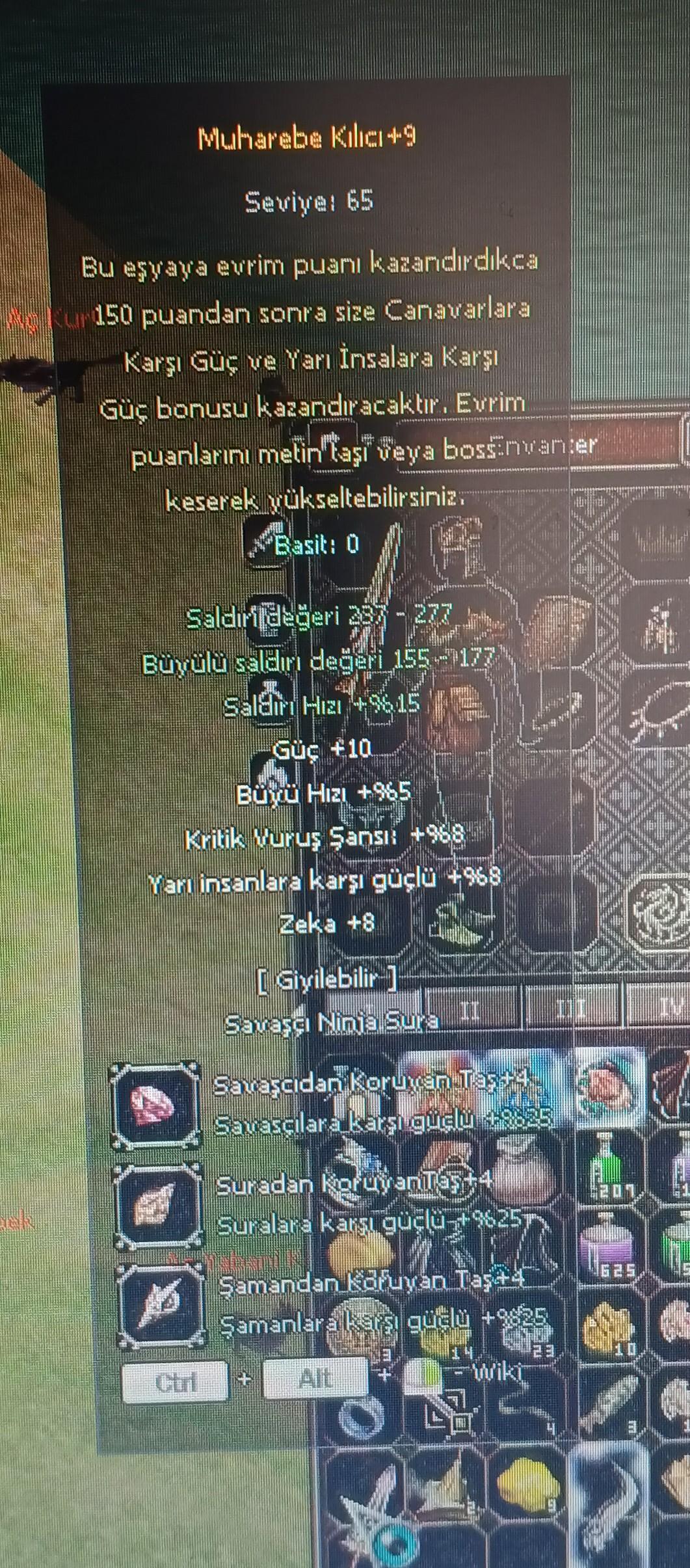 Wslik sura muho