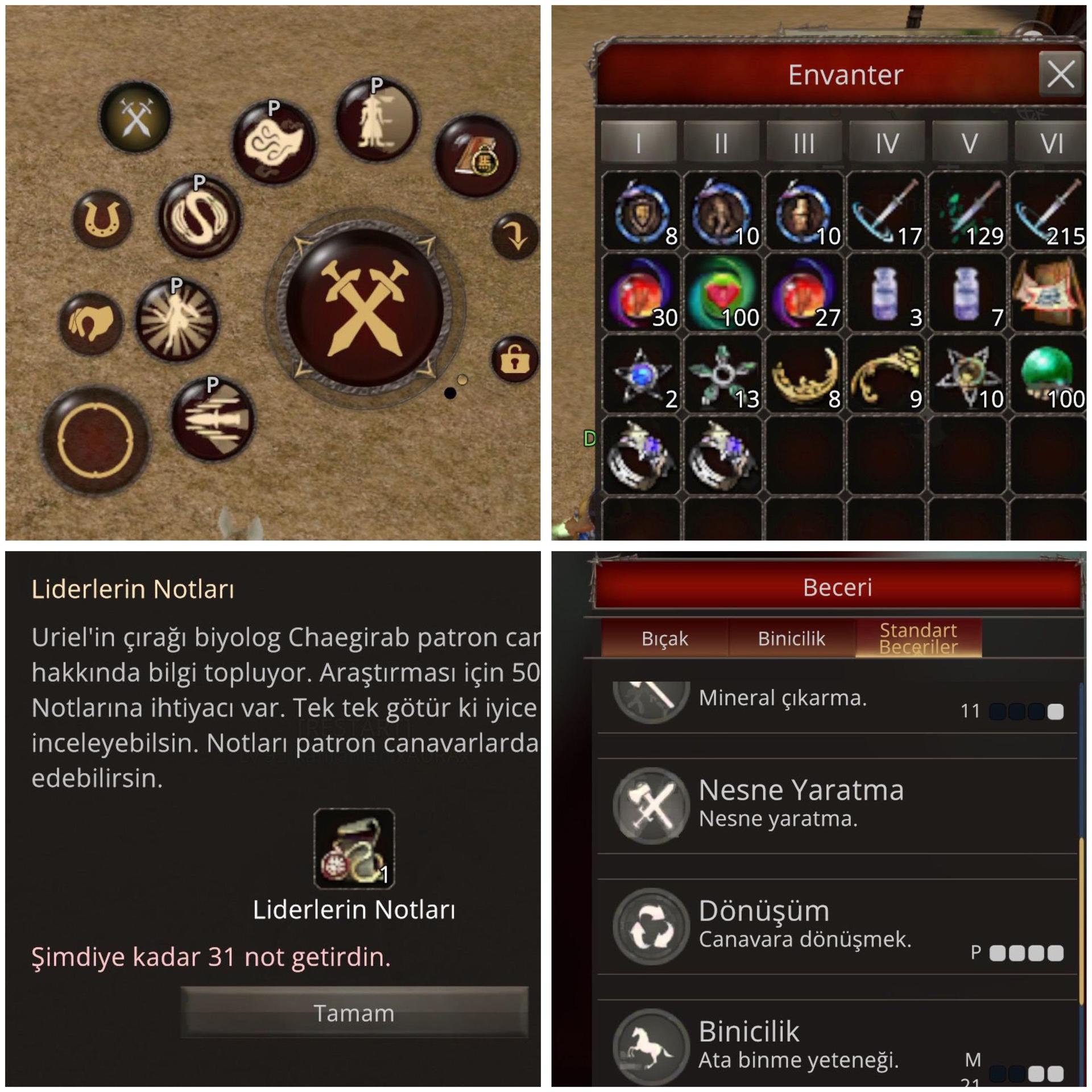 5 P li 95 level skil kayıpsız