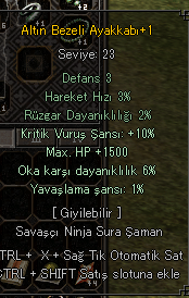 1500 HP 10 KRİTİK AYAKKABI P6 KAÇIRMA