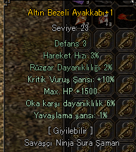 1500 HP 10 KRİTİK AYAKKABI
