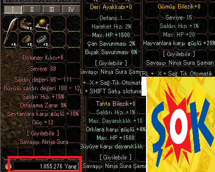 RESİMDEKİ HERŞEY YANG DAHİL [OYUN SONU] ŞOK FİYAT KAPTIRMA