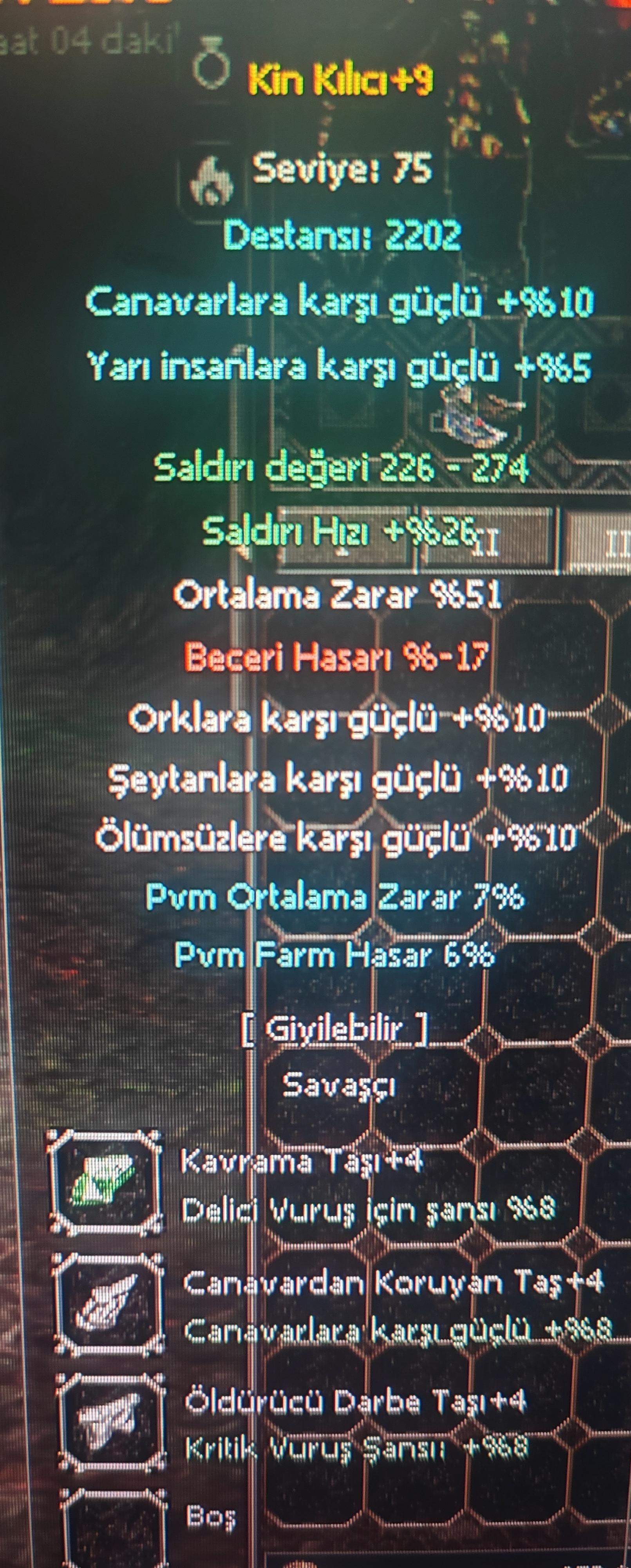 +9 KİN KILICI