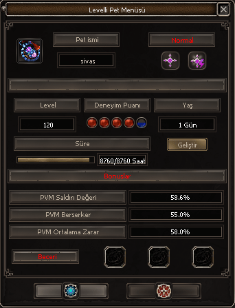 120 LEVEL TİP 16 ELİT ORAN PET