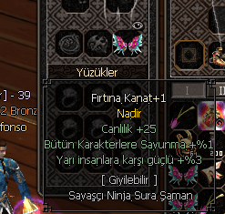 Fırtına Kanat +1