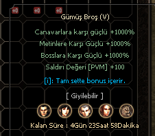 Gümüş broş 5 +++ HEPSİ 300 TL