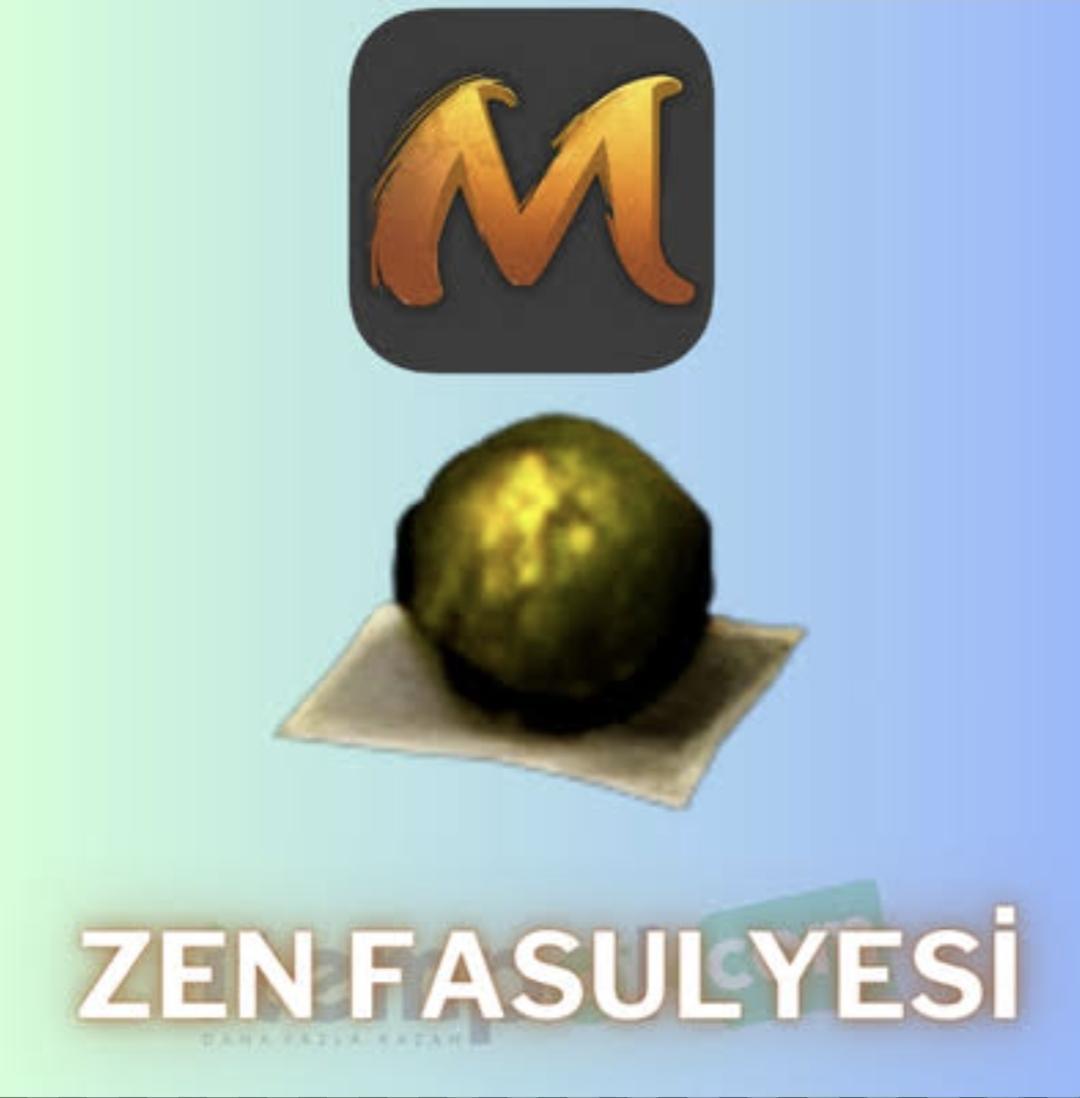 34 ADET ZEN FASÜLYESİ 350TL