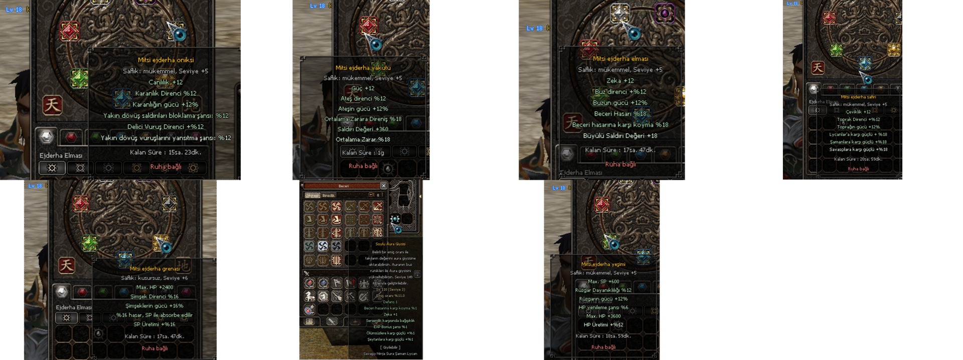 18 Level Şampiyon Zihinsel Full P Savaşçı