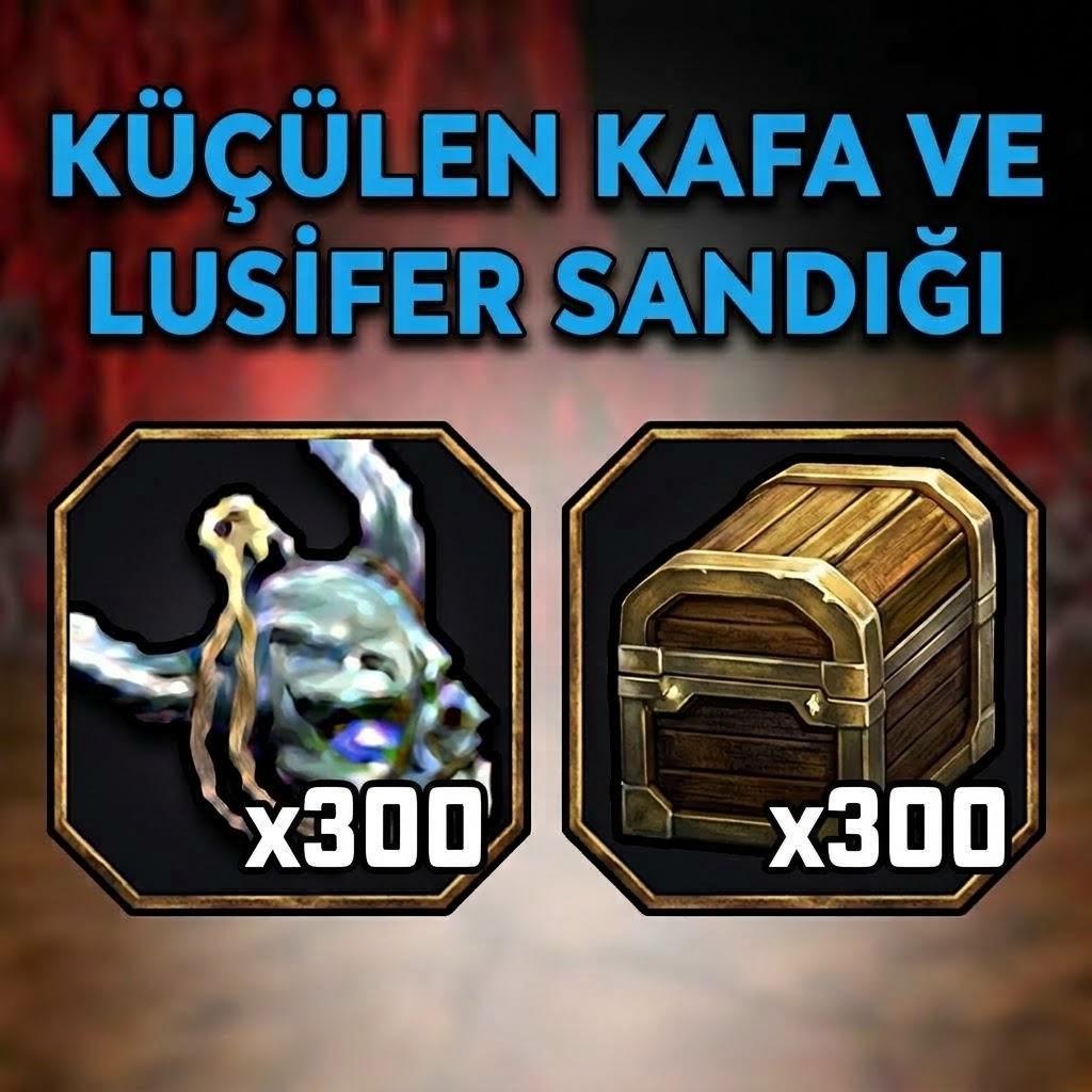 300 ADET  LUSI SANDIK / KAFA