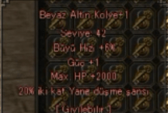 2K HP 20 İKİ KAT YANG BEYAZ ALTIN KOLYE
