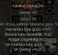 65 LVL İYİLEŞTİRME AÇIKLAMA GEL