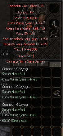 8-15 2k hp cennetin gözü bilezik