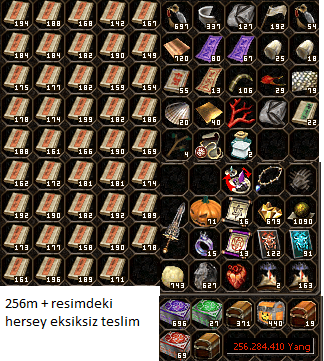 256m + resimdeki hersey eksiksiz FAZLASIYLA hemen teslim