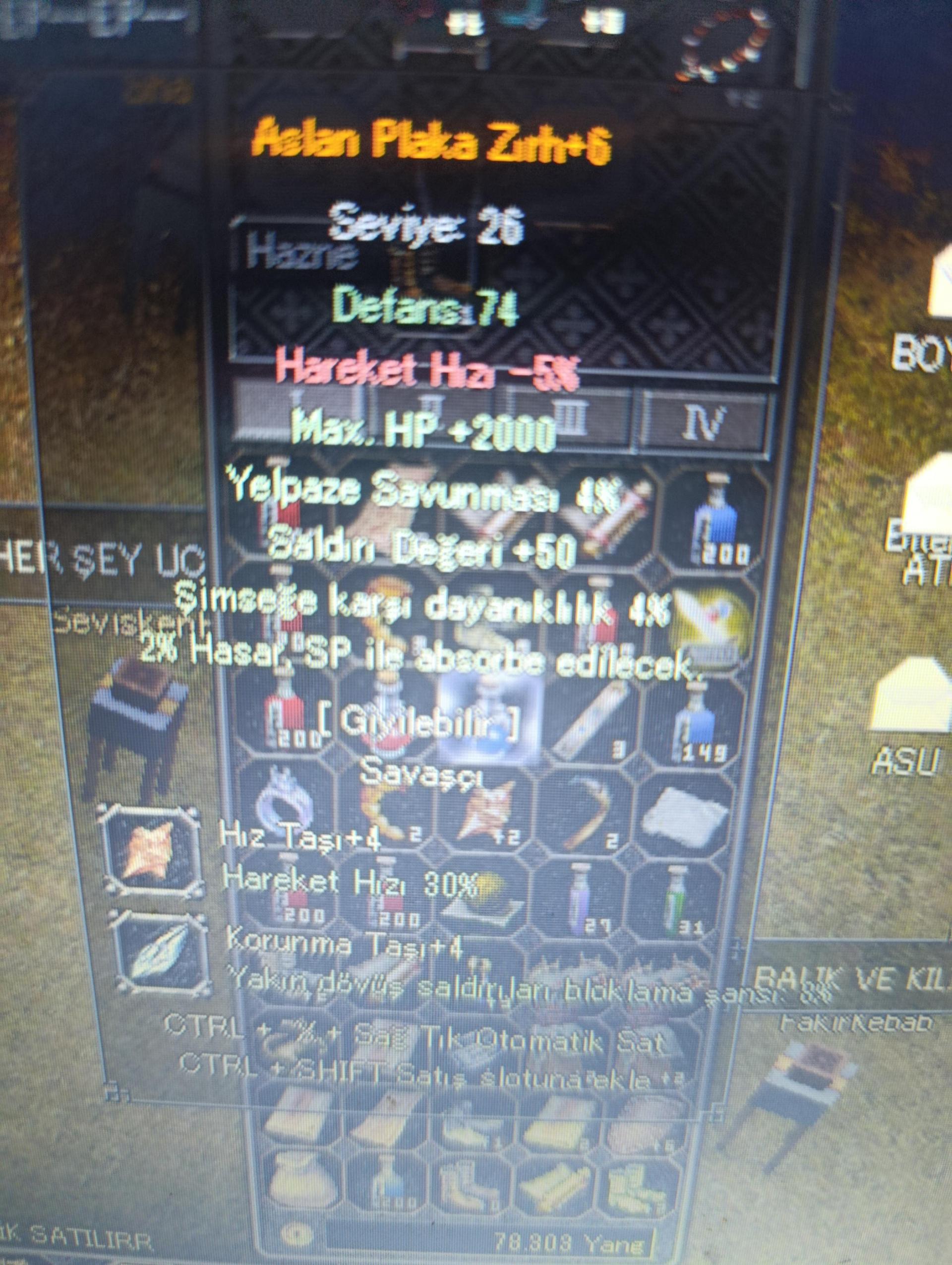 +6 Aslan plaka 50 STR 2 k HP 4 taşlı