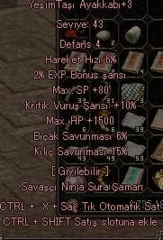 10 KRİT +1500HP+ 15 KILIÇ 43 LVL AYAKKABI