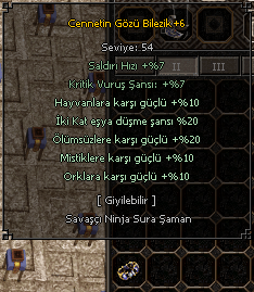 2  ADET +6 CENNET BİLEZİK ADET 800