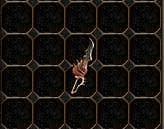 ZEHİR KILICI