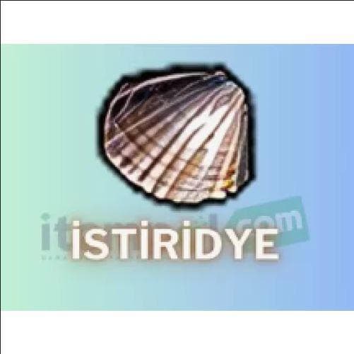 50X İSTİRİDYE