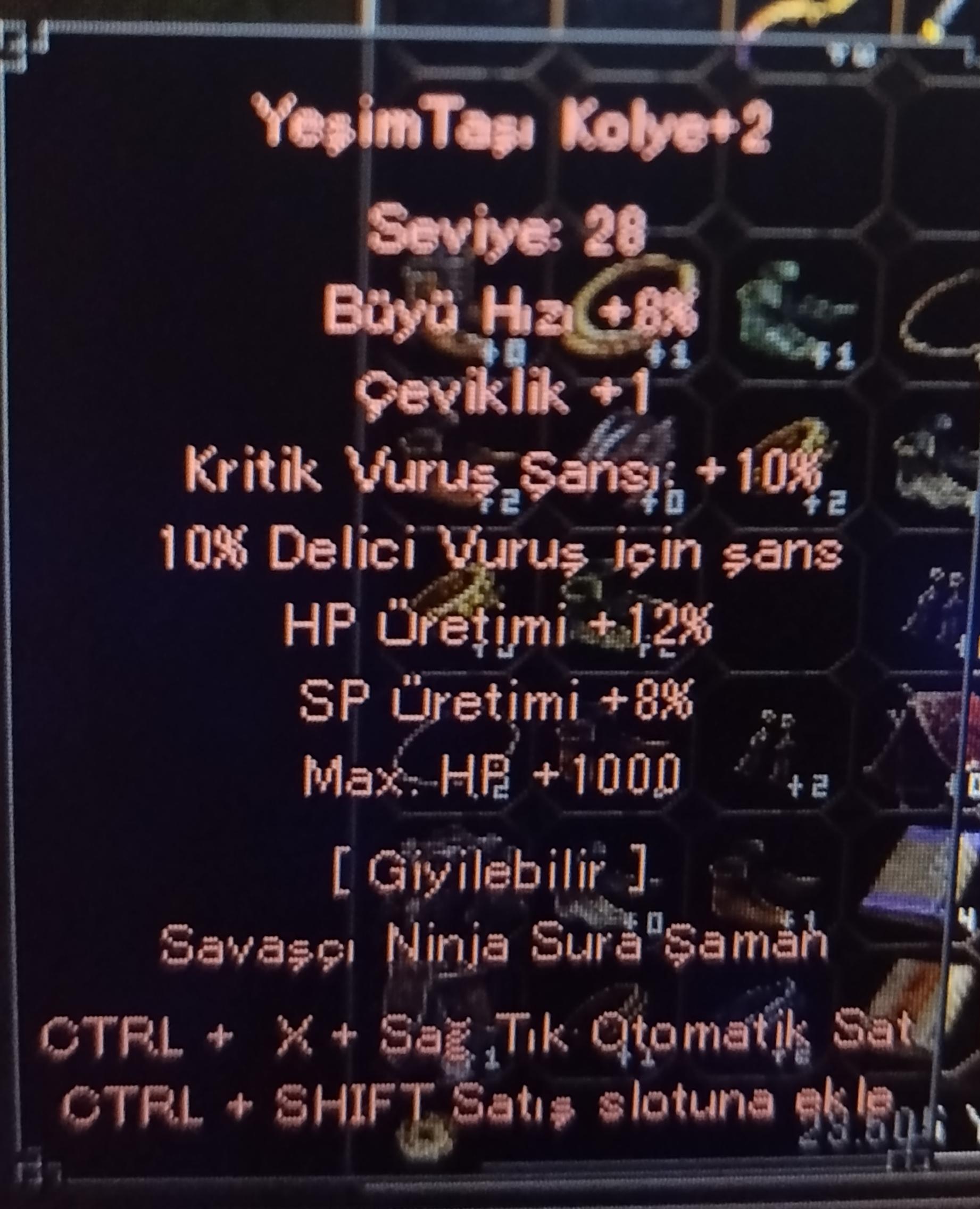 Farmlık Kolye 10kritik 1k hp 10 delici
