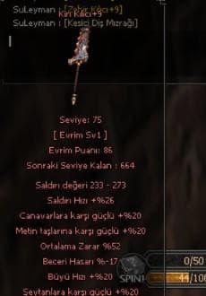 KİN KILICI +9