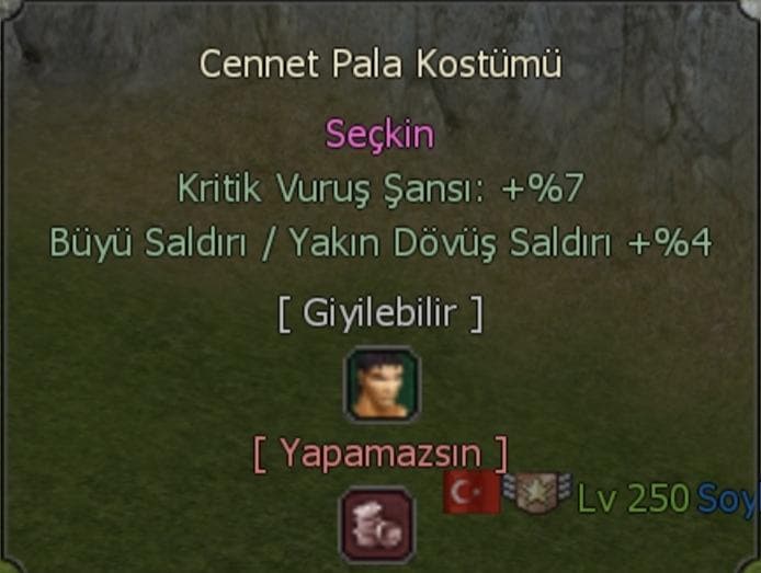 SEÇKİN PALA FİŞİ YAZMA ÇEK UYGUB