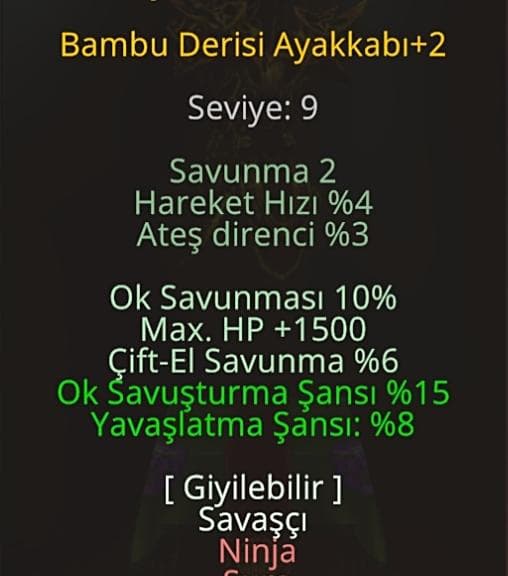 Elit ayakkabı
