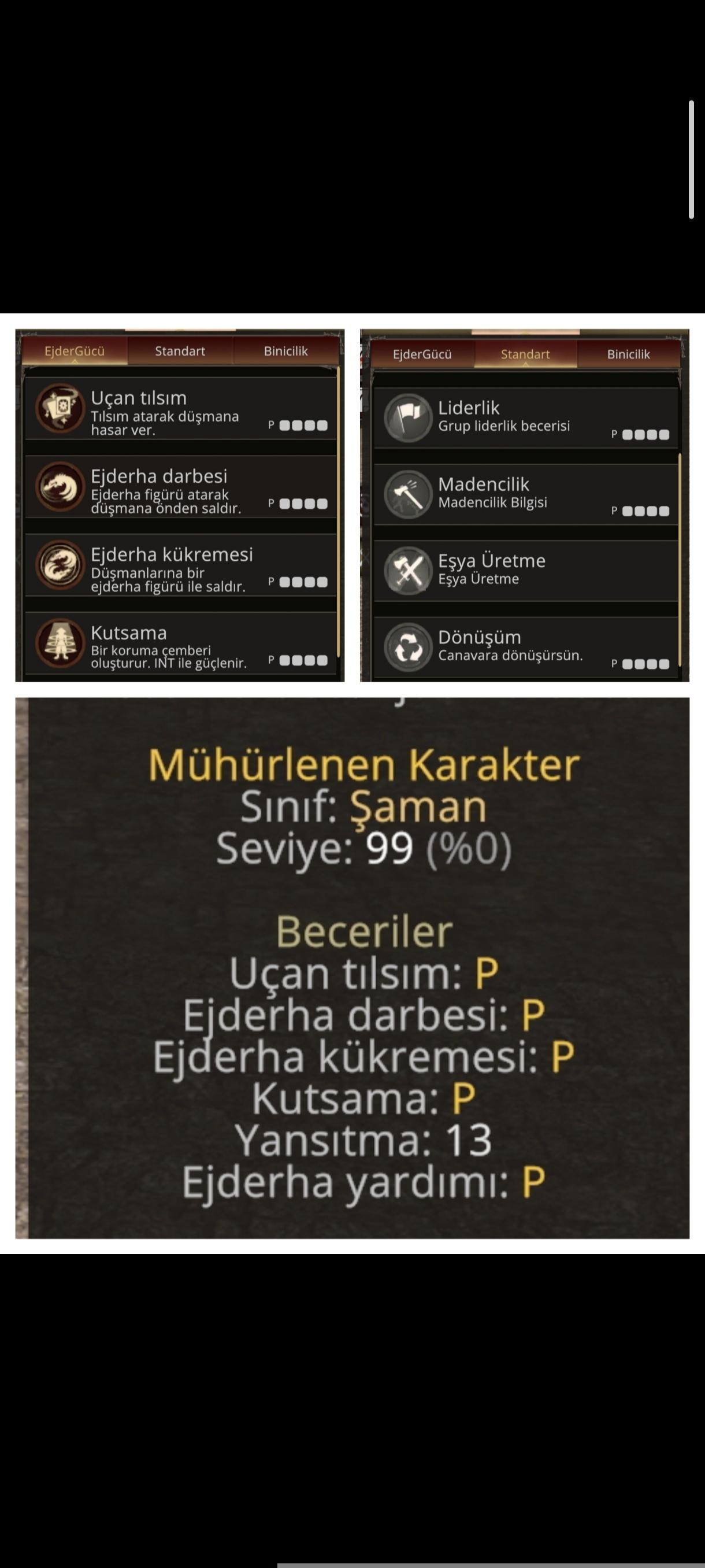 FUL P ŞAMAN AYNALI