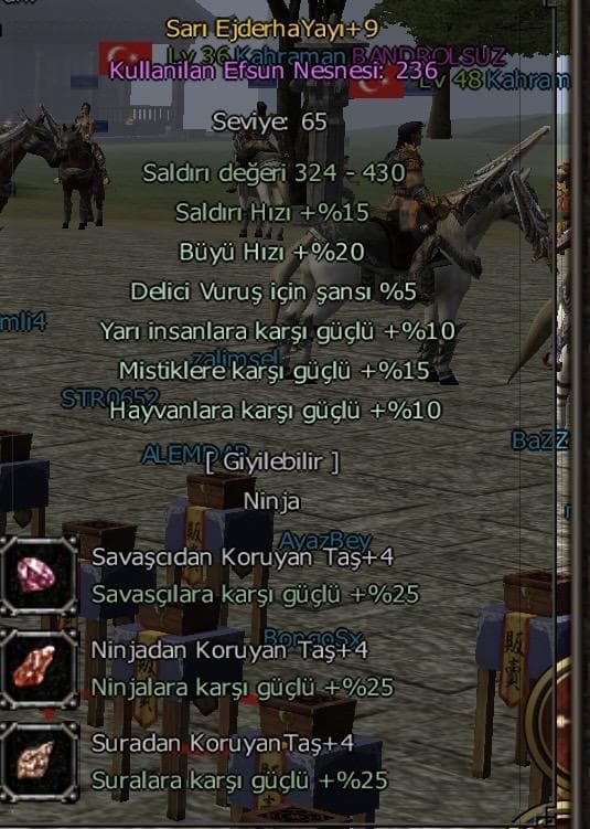 +9 SARI EJDER YAYI