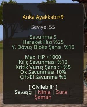 +9 ANKA 10 KILIÇ 10 OK 5 KRİTİK 1K HP
