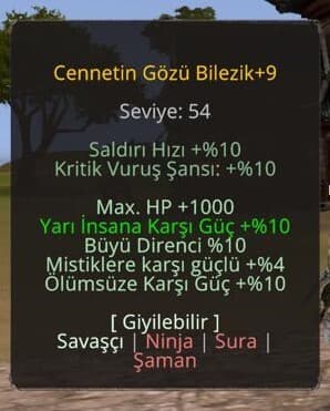 +9 10 YARI 10 BÜYÜ 1K HP 10 ÖLÜMÜSÜZ CENNET BİLEZİK