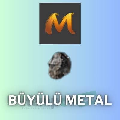 1 ADET BÜYÜLÜ METAL 200 TL HO