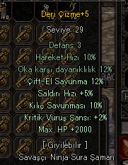 Deri Çizme 12 Çift el 10 kılıc 5 saldırı hızı 2000 hp