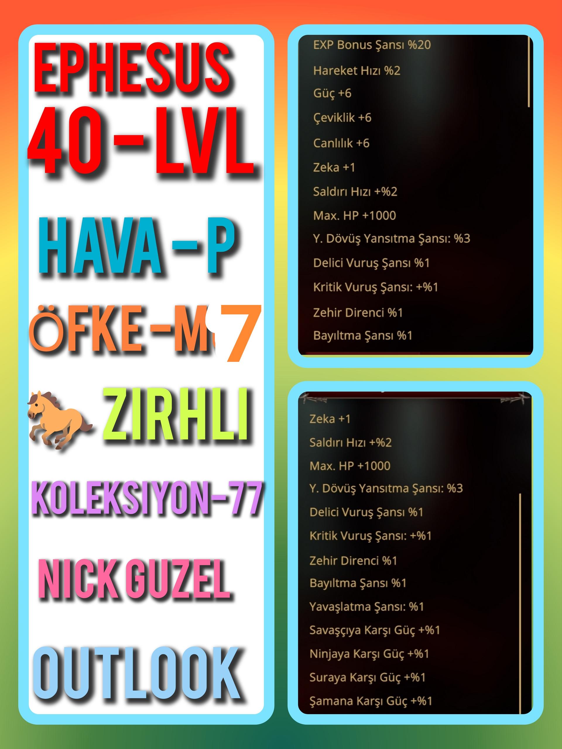 40 level HAVA P