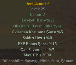 +6 DERİ ÇİZME