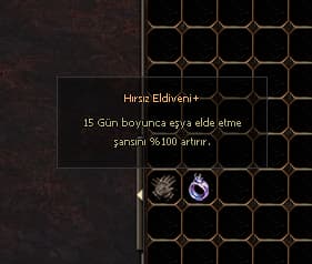 15 ER GÜNLÜK ( HIRSIZ ELDİVENİ VE TECRÜBE YÜZÜĞÜ )