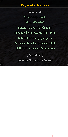 2K BİLEZİK