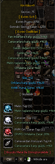 +9 Kin Kılıcı HO