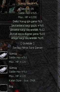 +9 GÜMÜŞ BİLEZİK 5 EFSUN ELİT FARMLIK AL HO