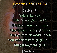 15 BÜYÜ 10 YARI 6 DELİCİ CENNET BİLEZİK 1000 TL