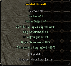 +6 AMETİST KÜPE 20 ÖLÜMSÜZ 20 EŞYA KULELİK ELİT KÜPE 1000 TL