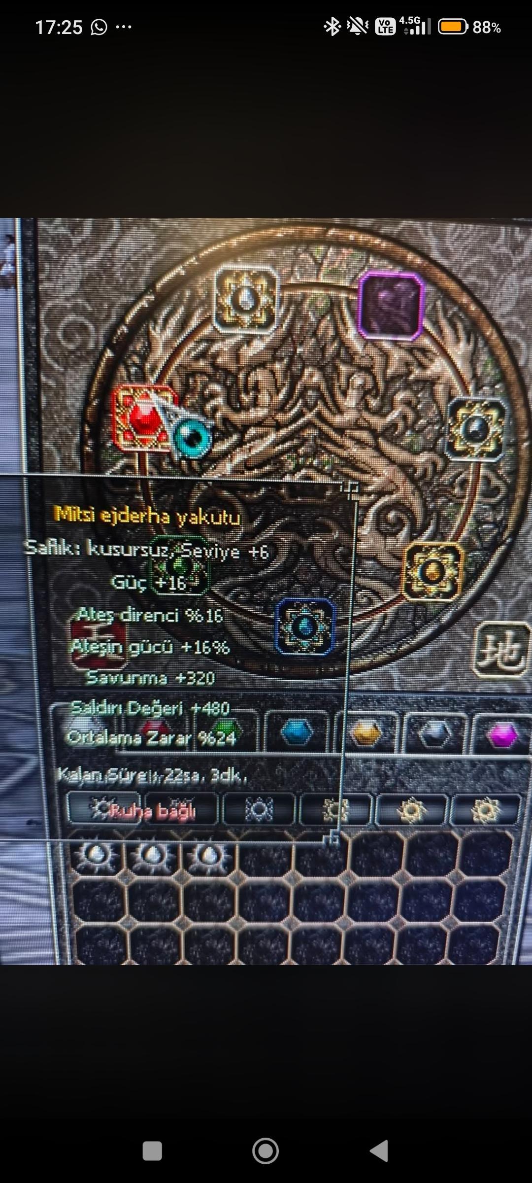 Ş1 ninja kusursuz yakut STR ort sav açıklama bak