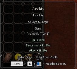 TİP 8 60 LVL PET 13.5 STR BASLANGIC