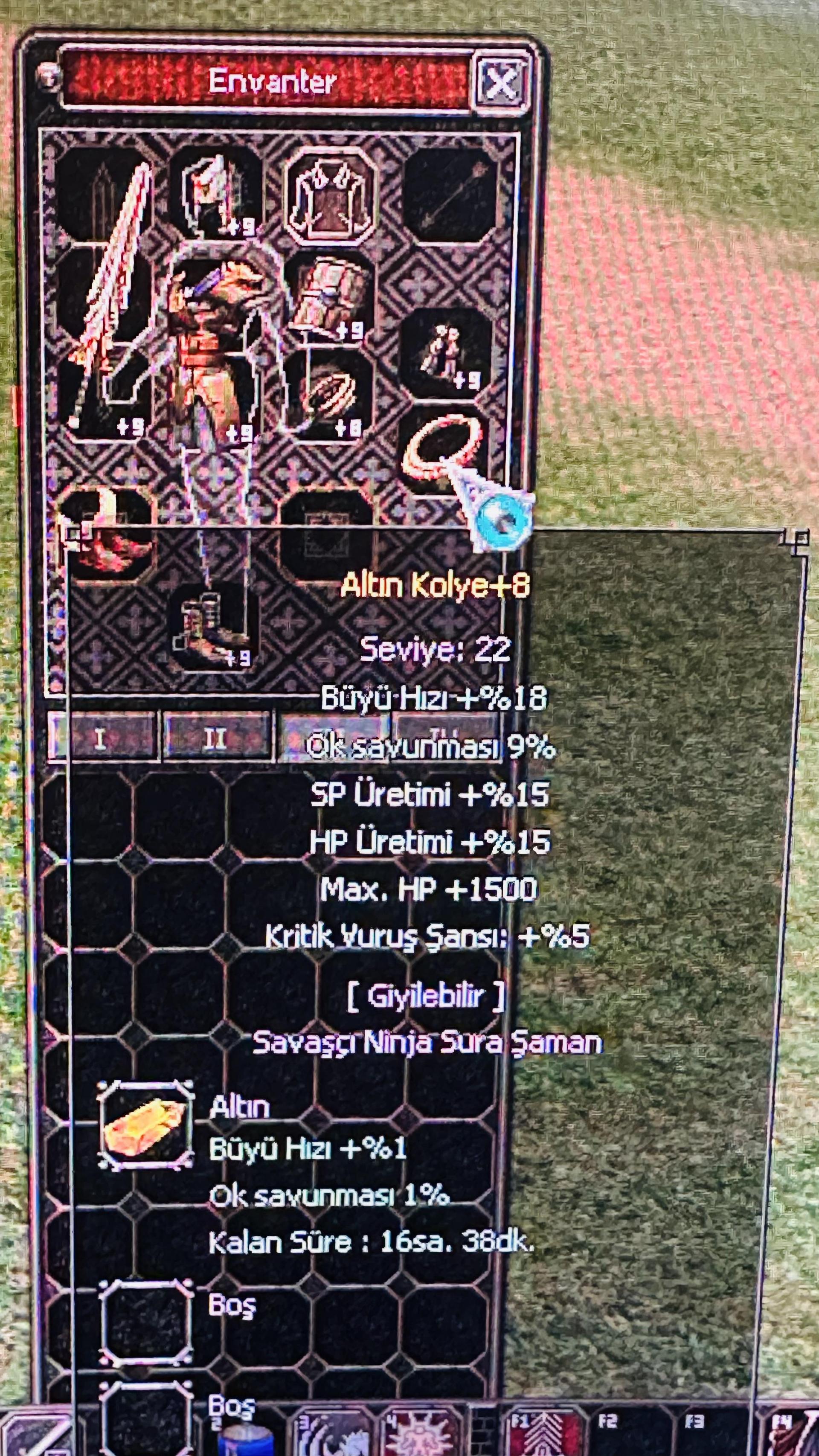 Altın Kolye +8 hp kritik Farmlık