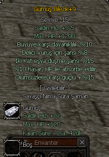 +9 Gümüş Bilezik