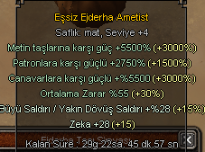 EŞSİZ AMETİST P6