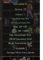 wslik deri çizme