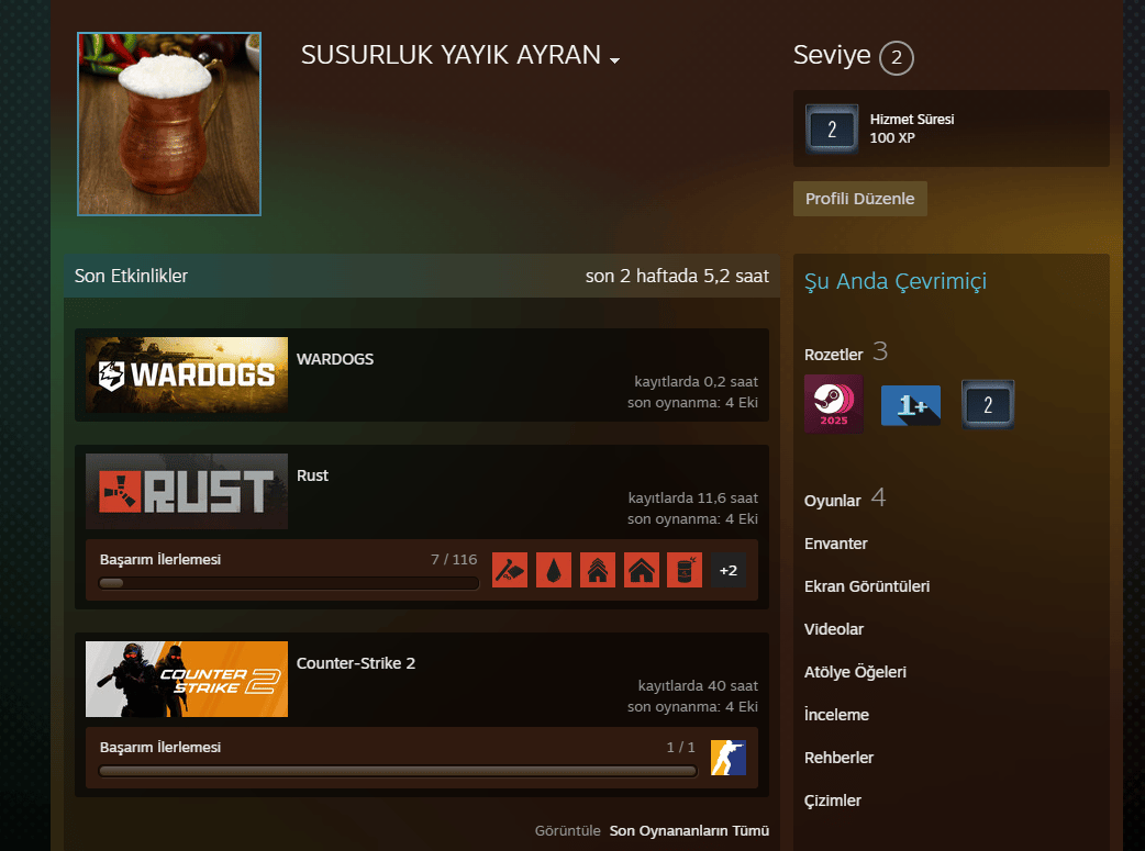 CS2 SECKIN - RUST - BF1 - R6 VE ICINDE 25 DOLAR YUKLU KENDI HESABIM